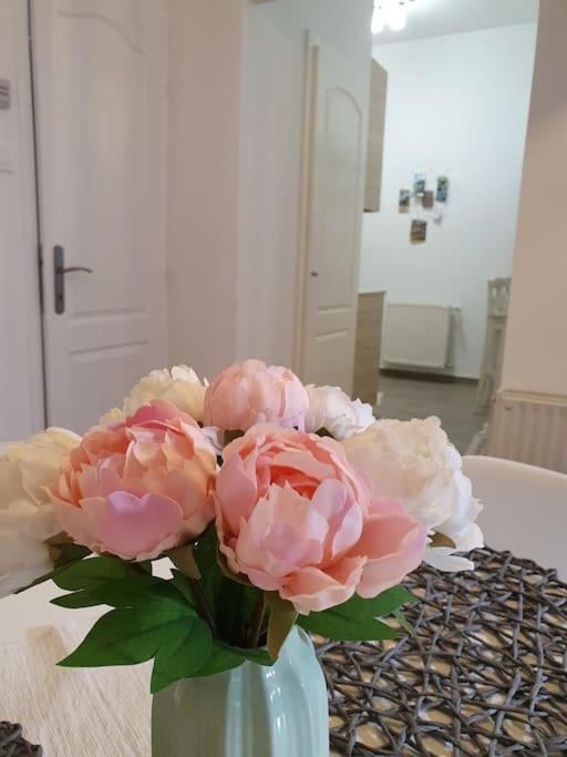Andrea Apartman Miskolc Belvarosaban 외부 사진